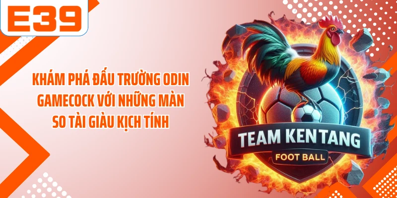Khám phá đấu trường ODIN Gamecock với những màn so tài giàu kịch tính