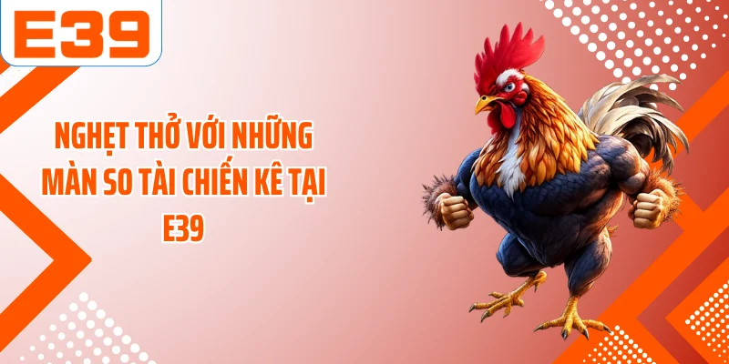 Nghẹt thở với những màn so tài chiến kê tại E39